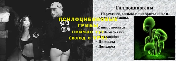 крисы Алексеевка