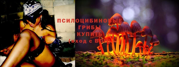 крисы Алексеевка