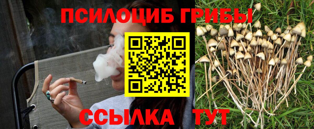 Галлюциногенные грибы мицелий  Вход с VPN  Сатка  Галлюциногенные грибы Cubensis 